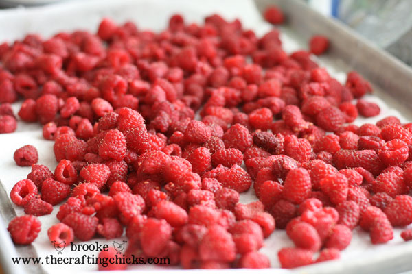 delicious-washed-raspberries