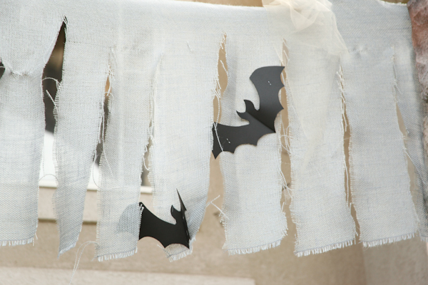 20-close-up of bats on cobwebs
