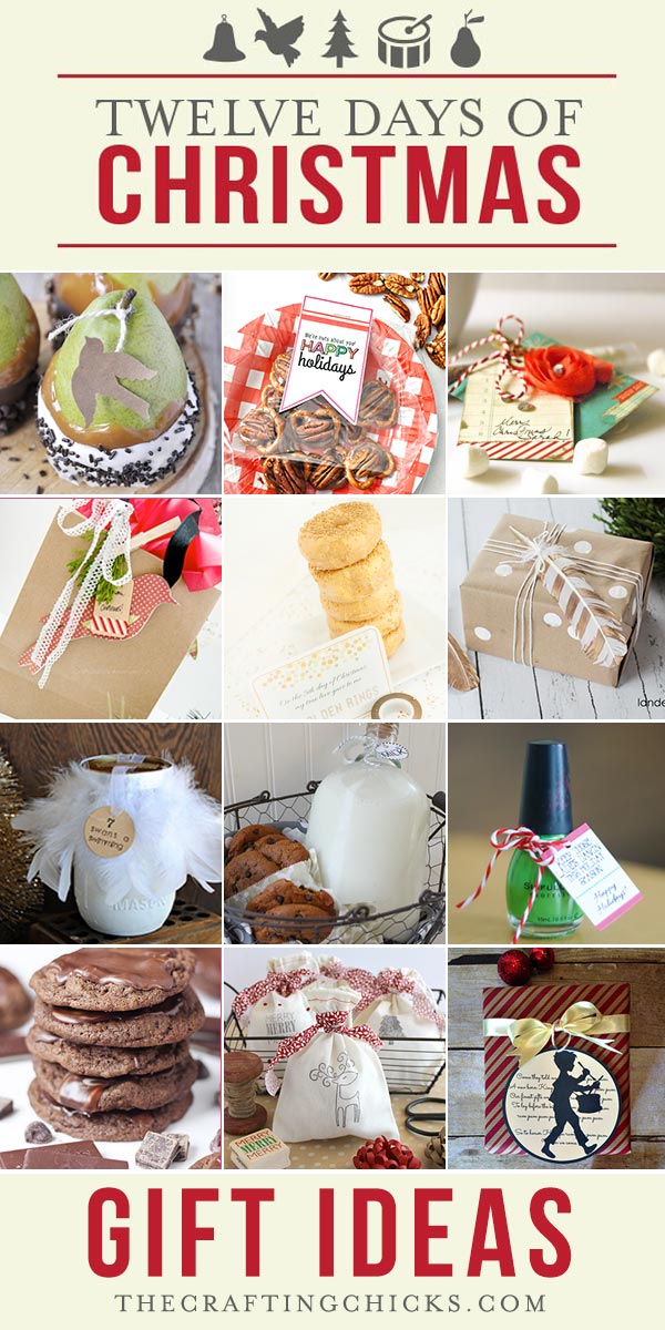  12 Days Of Christmas Gift Ideas Part 1 The Crafting Chicks