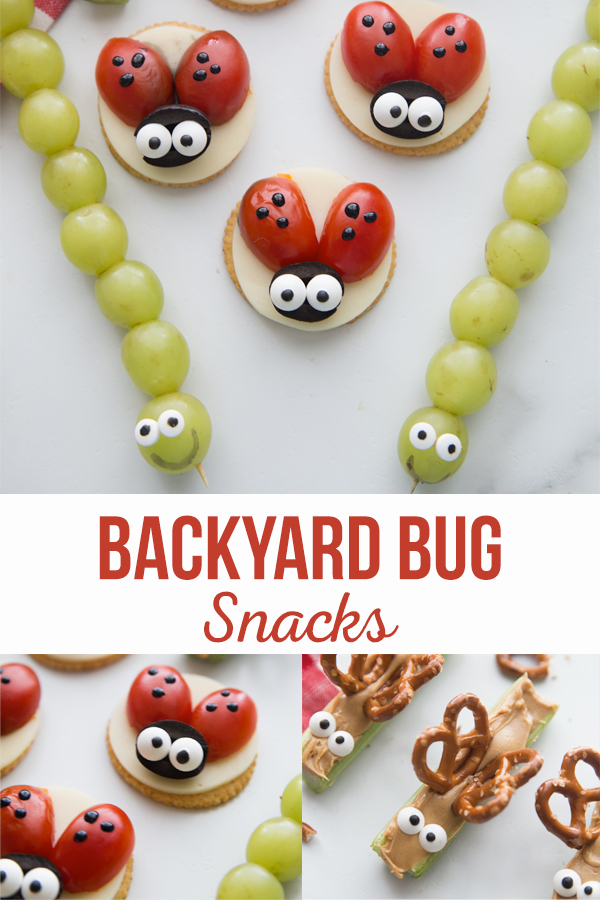 https://thecraftingchicks.com/wp-content/uploads/2015/07/Back-Yard-Bug-Snacks-1.jpg