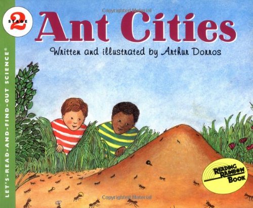 bugs ant cities