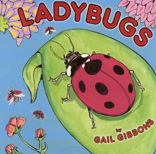 bugs lady bugs