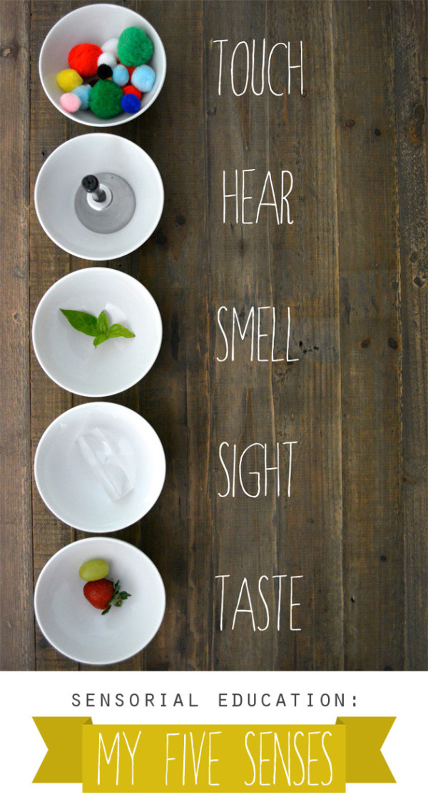 My 5 Senses - Activities and Printables - Touch, taste, smell, sight, sound... so many fun kids activities!