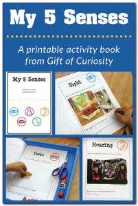 My 5 Senses - Activities and Printables - The Crafting Chicks