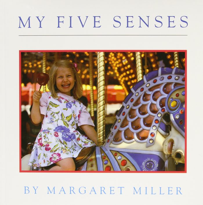 Five Sense Books For Kids The Crafting Chicks