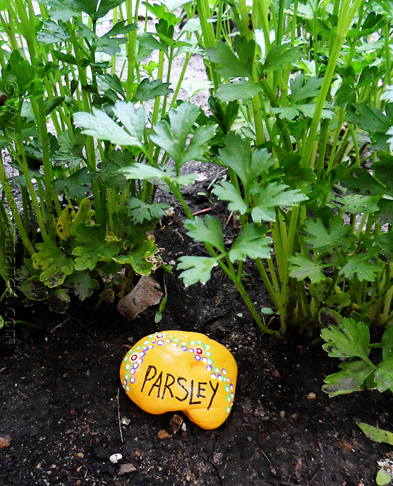 Painted Rock Garden Markers: Add Some Personality to Your Garden!