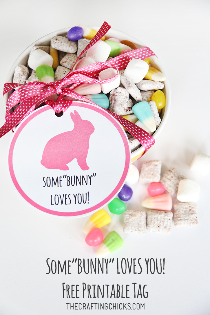 Easter Bunny Treat Mix - a yummy snack!
