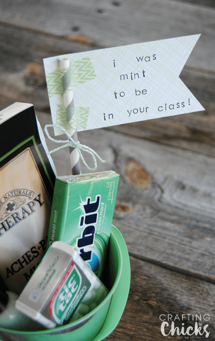 Teacher Gift Ideas:: Cleaning Supplies - The Crafting Chicks