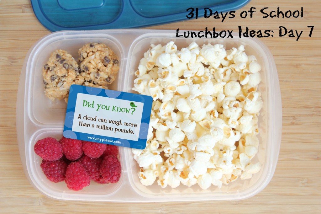 https://thecraftingchicks.com/wp-content/uploads/2016/08/31-Days-of-School-Lunchbox-Ideas-Day-7-5DollarDinnerscom-1024x682.jpg