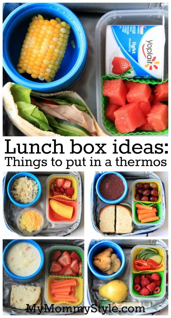 Here's How to Keep School Lunches Lunches Hot or Cold - Hip2Save