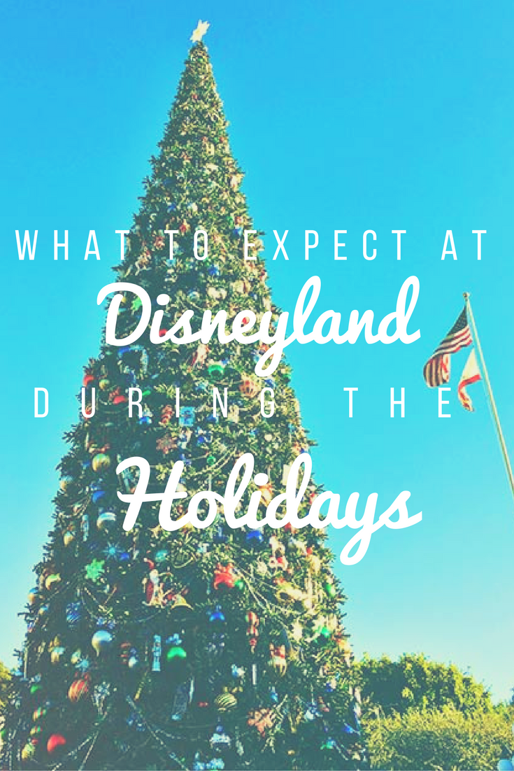 What to Expect at Disneyland During Christmas and Our Tips