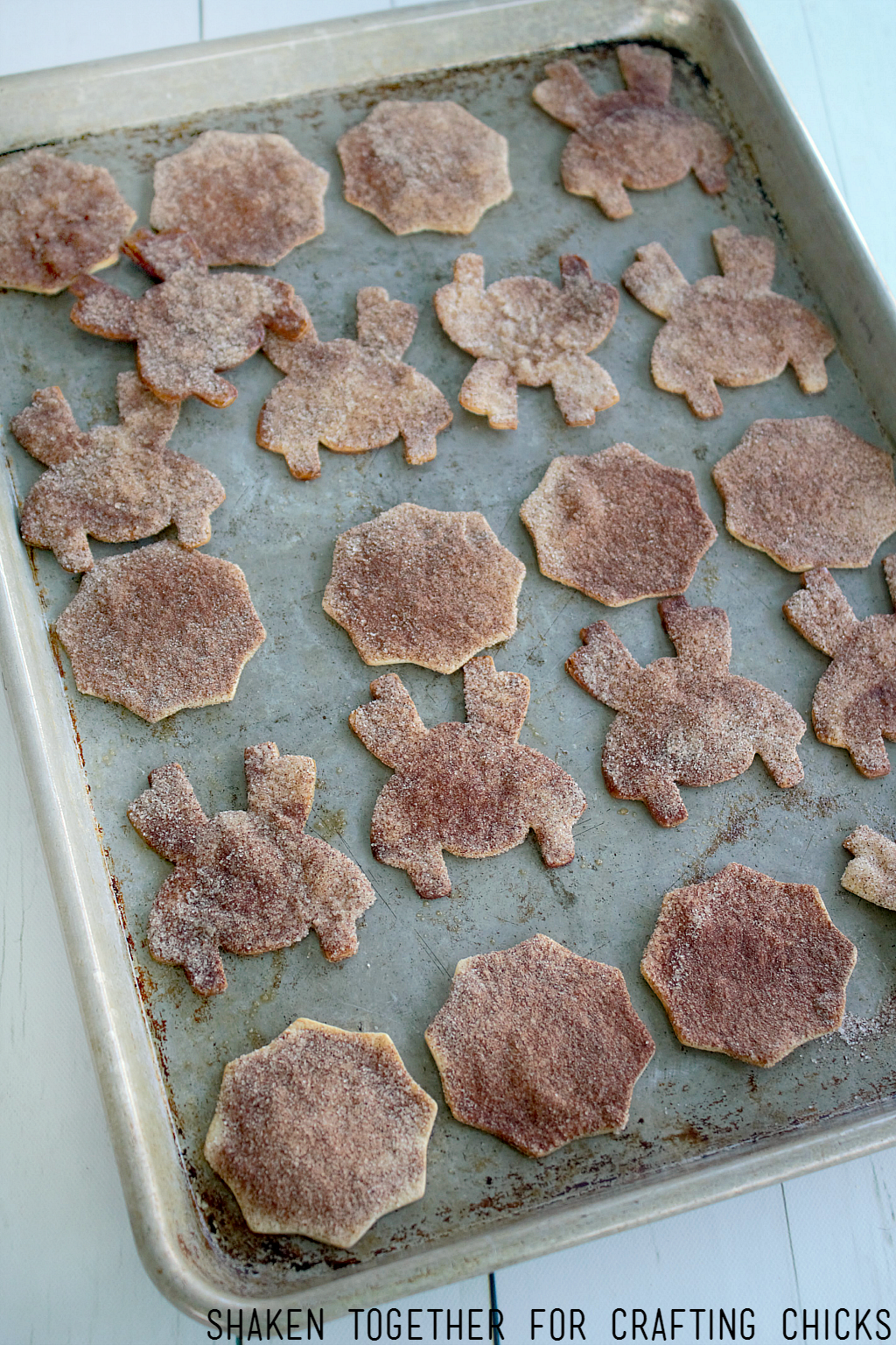 Cinnamon Sugar Spider Chips - The Crafting Chicks