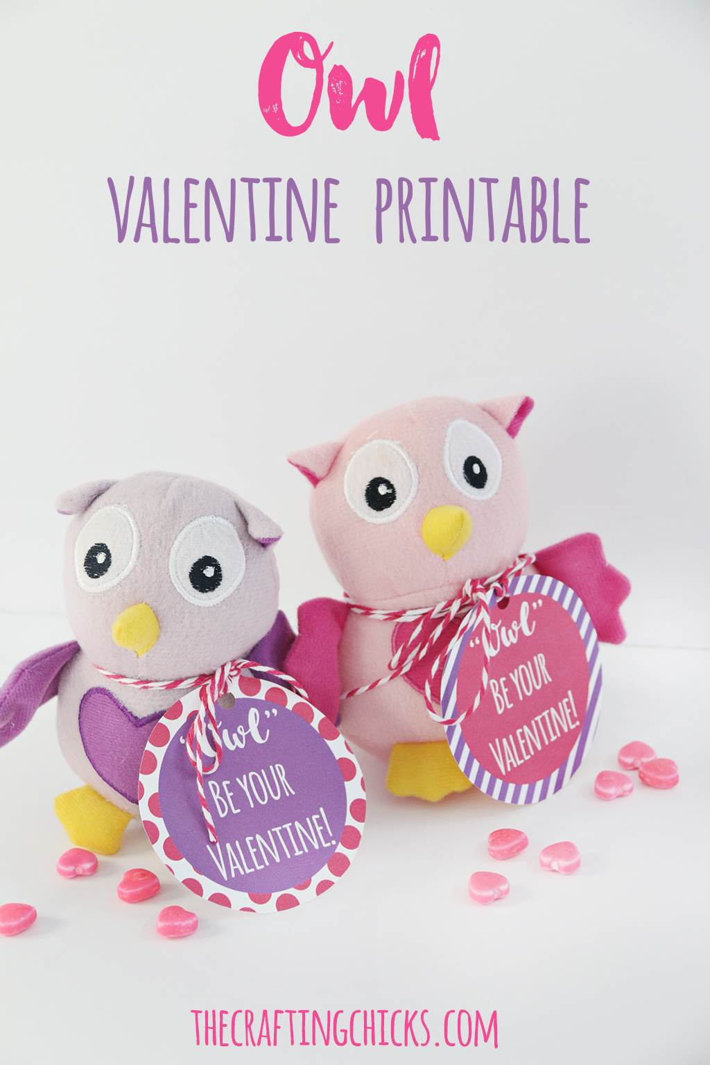 Owl Valentine Printable The Crafting Chicks