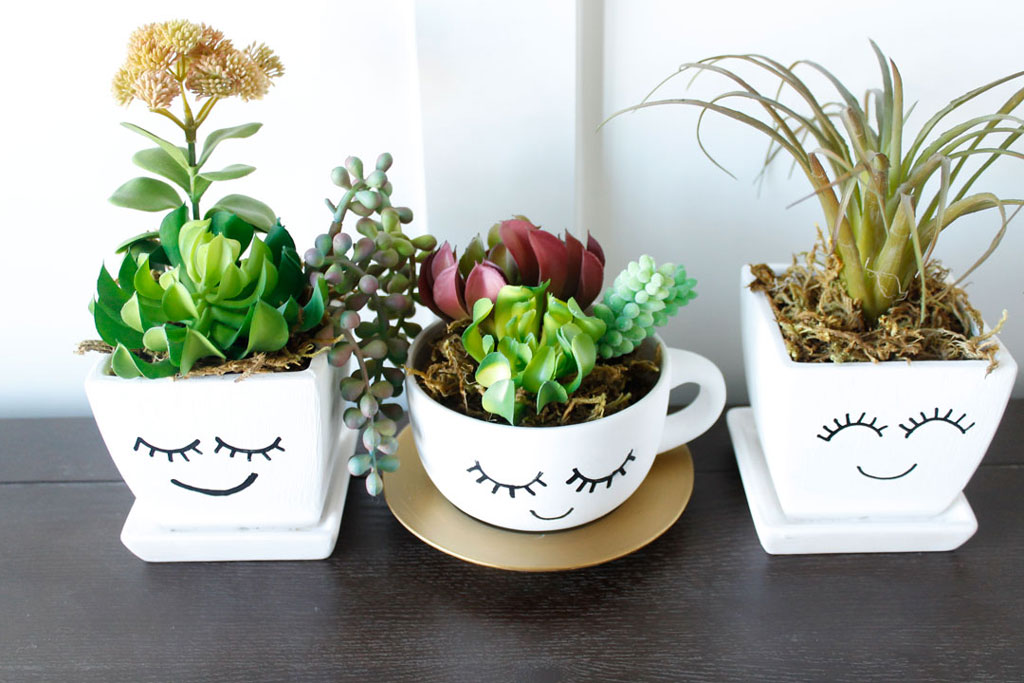 Top Picks for Succulent Planter Ideas - The Crafting Chicks