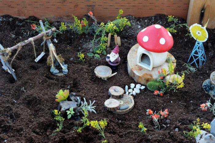 DIY Bug Garden - The Crafting Chicks