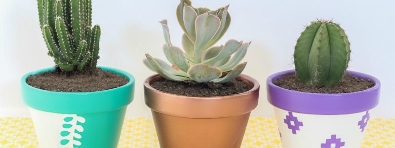 Vibrant Summer Clay Pots for Planting