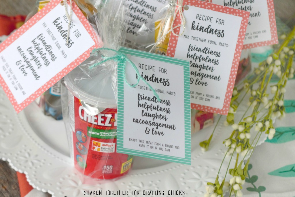 Fill bags with treats, add a printable tag and share these Recipe for Kindness Random Acts of Kindness Treat Bags! What a simple way to encourage kindness and generosity in children!