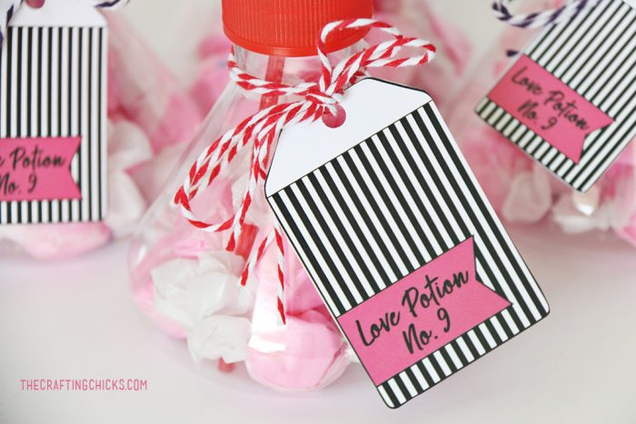 Love Potion No. 9 Printable Valentine - The Crafting Chicks