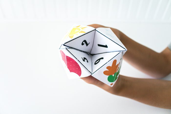 Seasons Activity Fortune Teller Free Printable - The Crafting Chicks