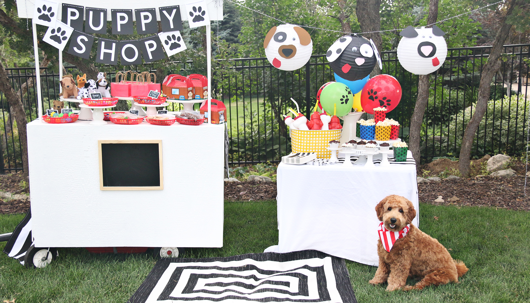 Puppy Adoption Party