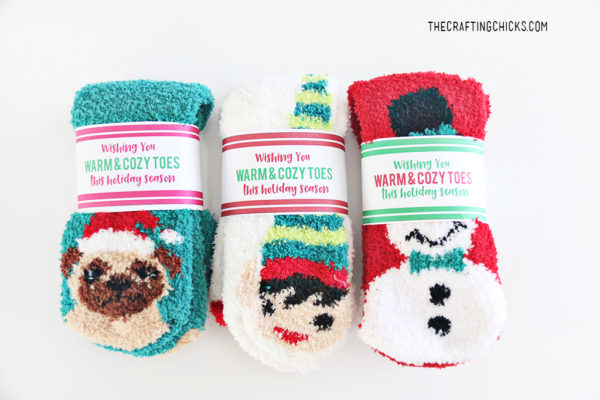 DIY Snow Globe - The Crafting Chicks