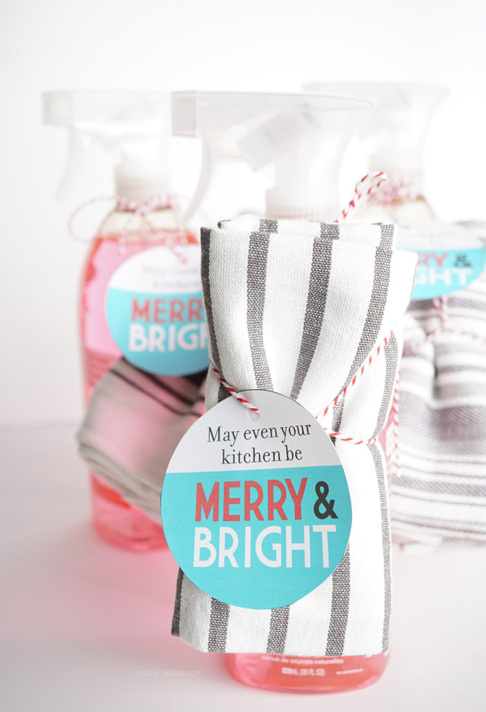 Teacher Gift Ideas:: Cleaning Supplies - The Crafting Chicks