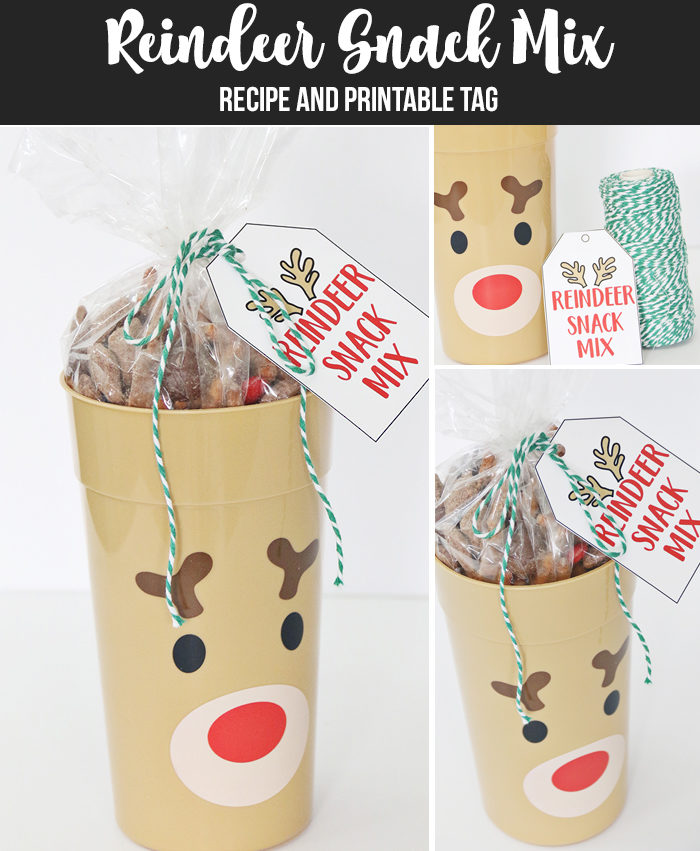 Reindeer Tumbler Tag