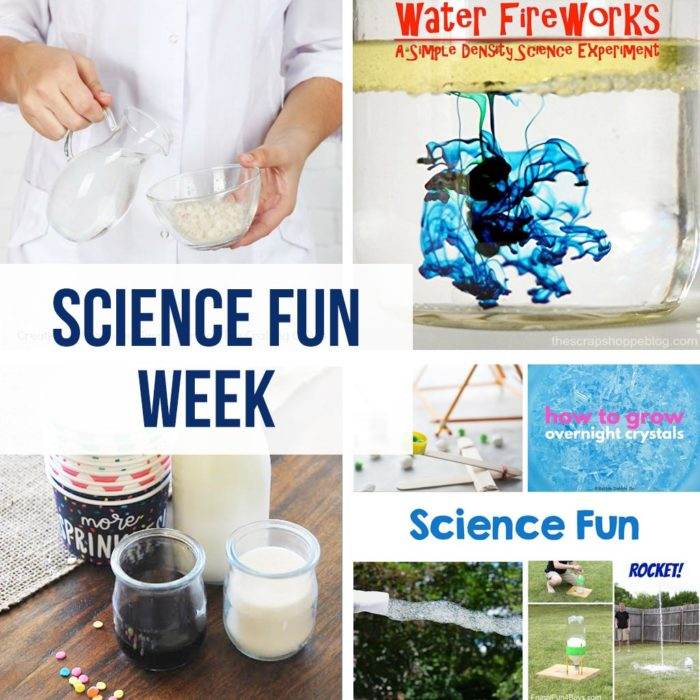 Science Funatics Science Fun Week - The Crafting Chicks