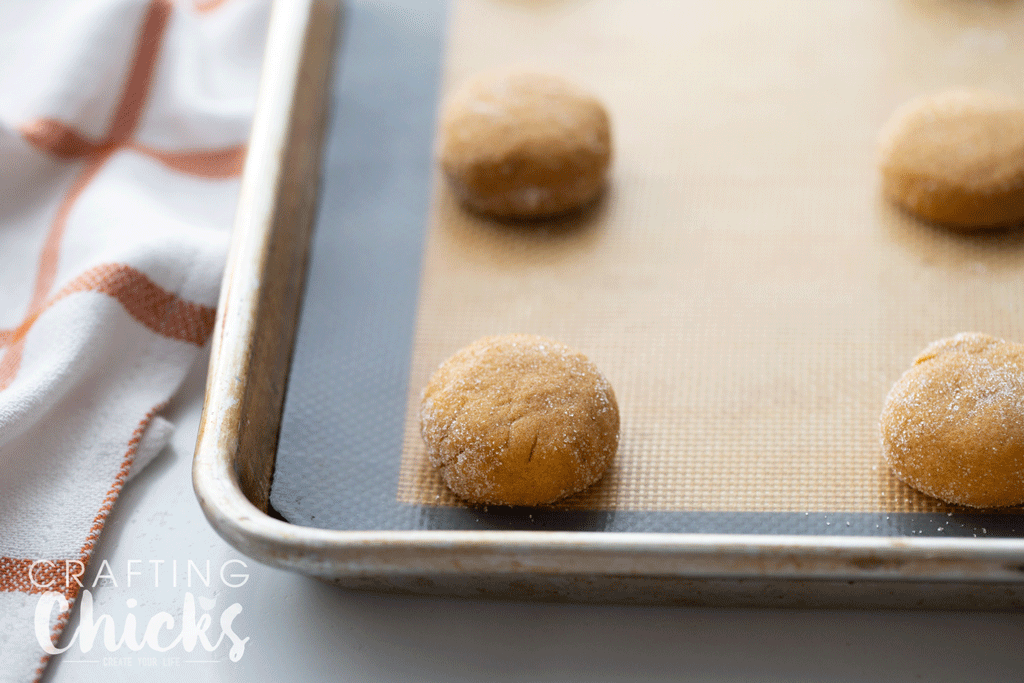 Pumpkin Molasses Cookies rolled in sugar and pressed flat on a cookie pan.