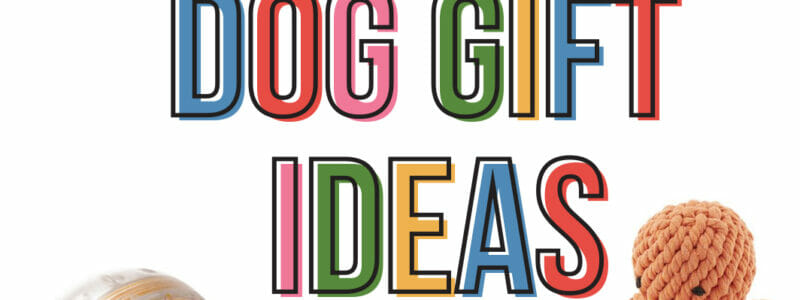 Dog Toys and Gift ideas on a white background