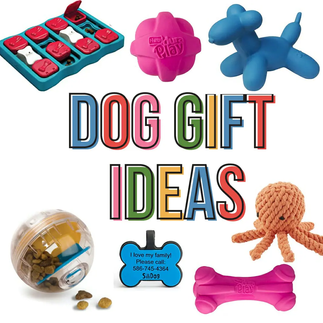 Dog Toys and Gift ideas on a white background
