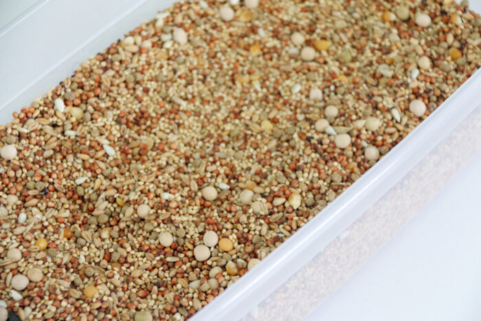 Base layer of the fall sensory bin.