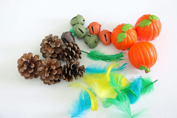 Close-up of sensory bin items including pine cones, pumpkins, and feathers.