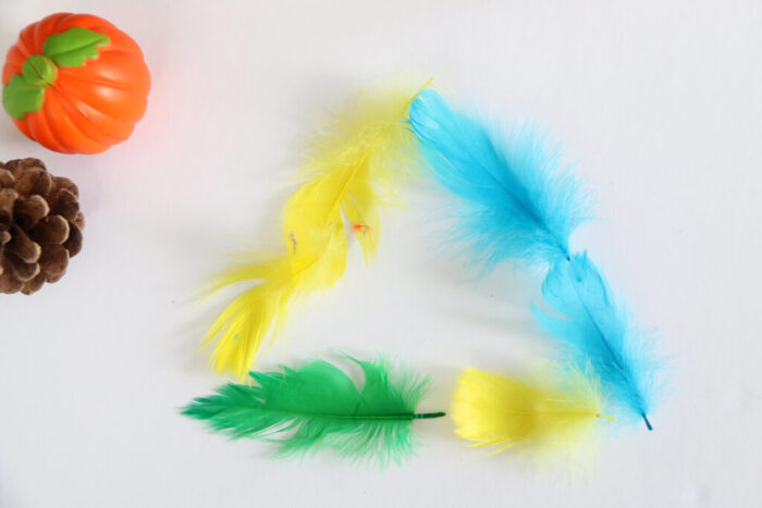 Feathers from the fall sensory bin