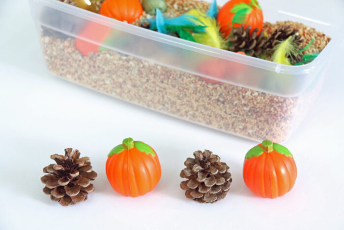 Up close of pinecones and squishy pumpkins outside of the sensory bin.
