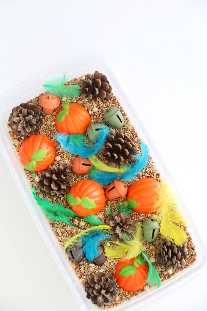 Fall sensory bin setup with pom poms, pine cones, and seed filler.